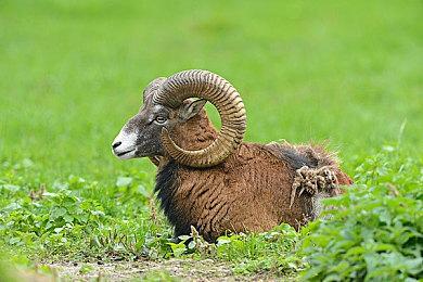 《暗黑4》85%玩家选择单刷 暴雪想提升多人游戏体验